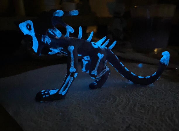 2023 - glow in the dark powder