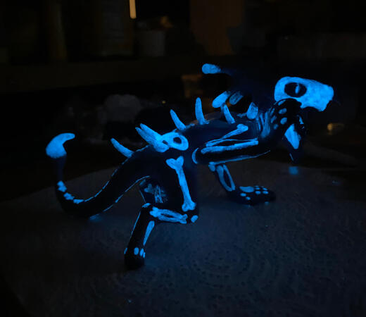 2023 - glow in the dark powder