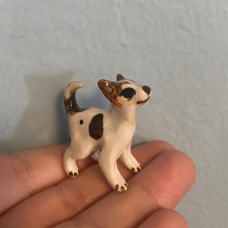 Small dog